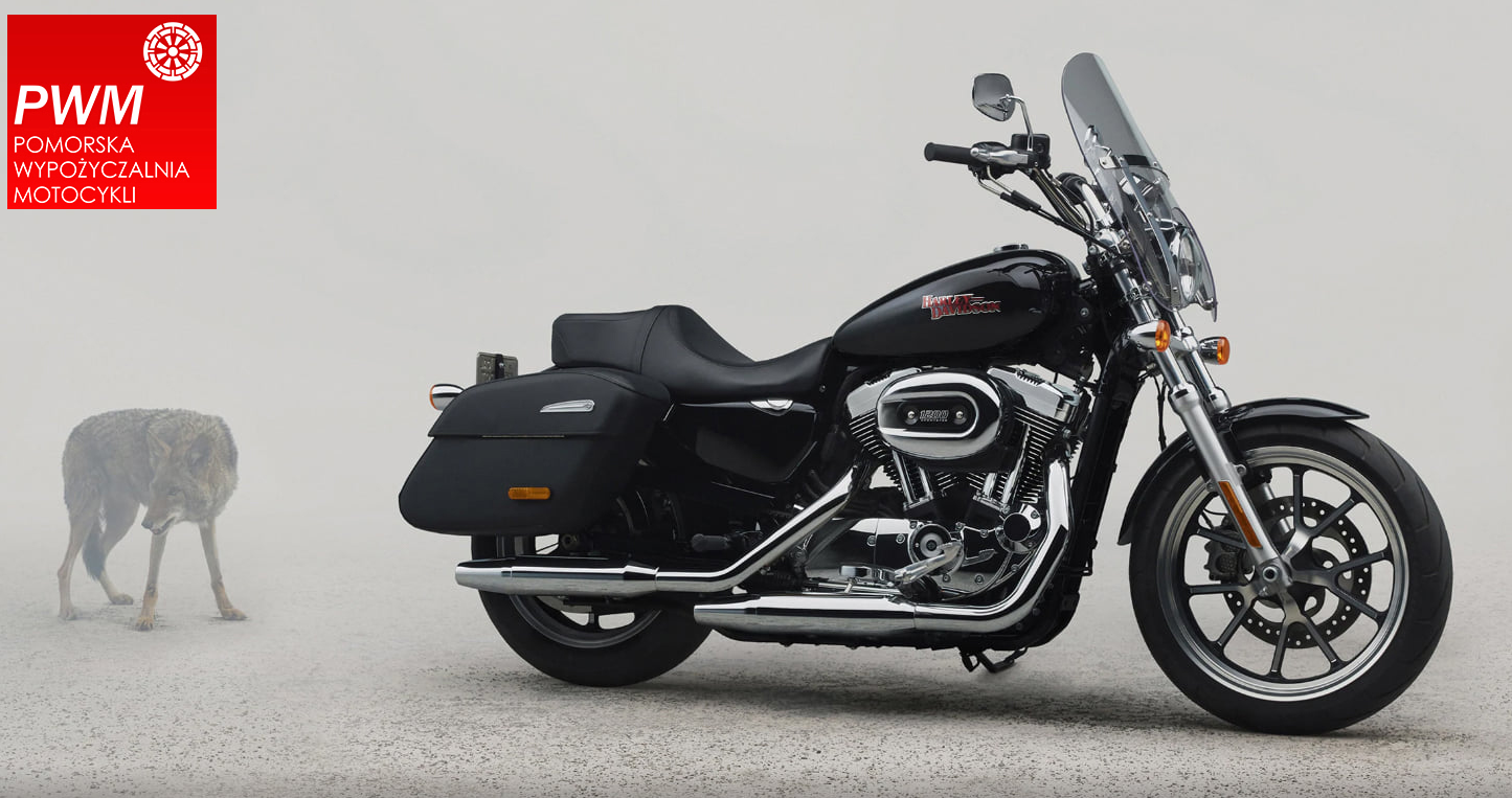 Harley Davidson Sportster 1200 XL wynajem rental wypożyczalnia rent Harley Davidson Sportster 1200 XL wynajem rental wypożyczalnia rent